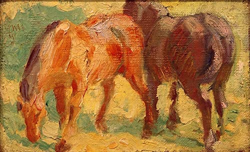 Impression d'art grand format tableau photo de petit cheval par Marc pour mur chic
