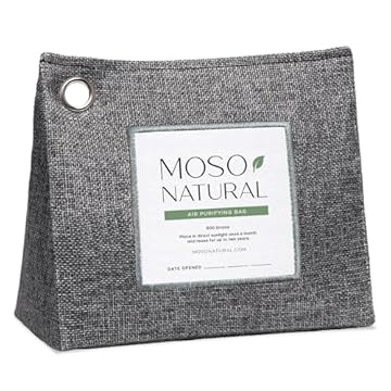 best activated charcoal air purifier