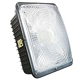 75W LED Canopy Light with UL Listed and DLC Certified,5000K,8625LM,300-350W HPS/HID Canopy Light Replacement,Waterproof and Outdoor Rated,Gas Station, Street, Area & Outdoor Lighting, 5 Year-Warranty.