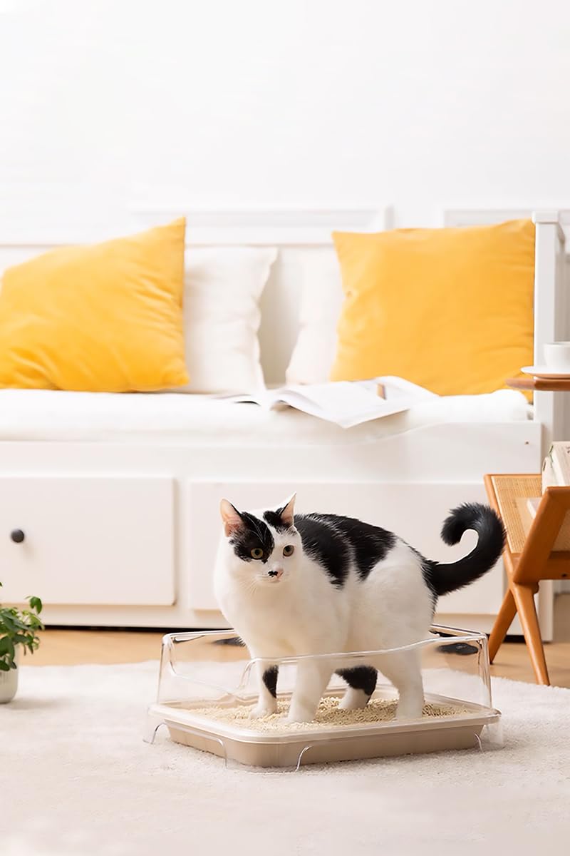 Wegwerp kattenbak (5 pak/Eco-vriendelijk