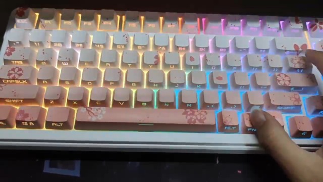 KKページです•ᴗ•ꕤ* Amazon.com: JKDK Side Printed Keycaps,Shine Through PBT Dye
