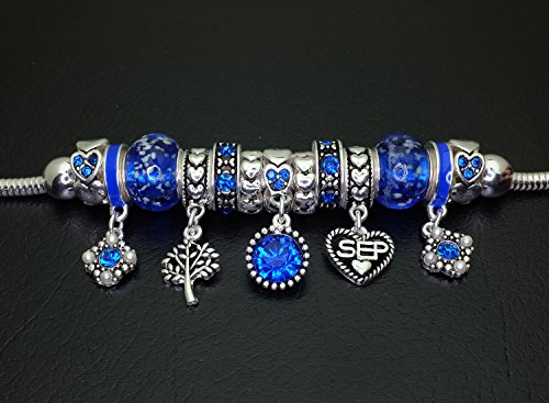 Falari Birthstone Bracelet Multi-Color Charm Beads Silvertone3