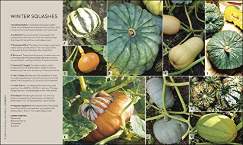 RHS Step-by-Step Veg Patch: A Foolproof Guide to Every Stage of Growing Fruit and Veg