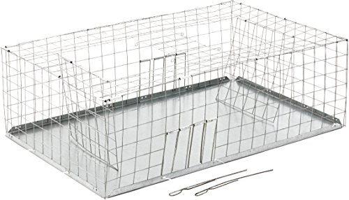 Vogel Trampa 97 cm I Fácil y Rápido de Fang I Tiempo Ahorro de múltiples Fang I impermeables...