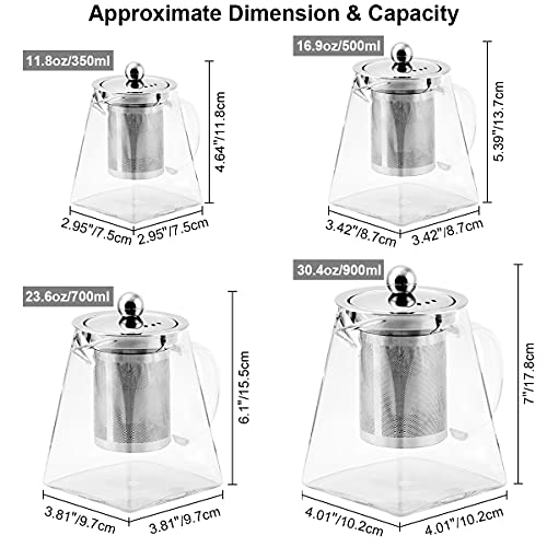 BONNACC Tetera de Vidrio 500ml con Filtro Infusor de Acero Inoxidable Resistente al Calor, Té y Café