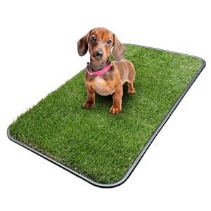 Ottomanson Artificial Grass Puppy Potty Training Pad with Tray, 15″ x 30″ Reusable Pee Pad for Small Pets and Dogs