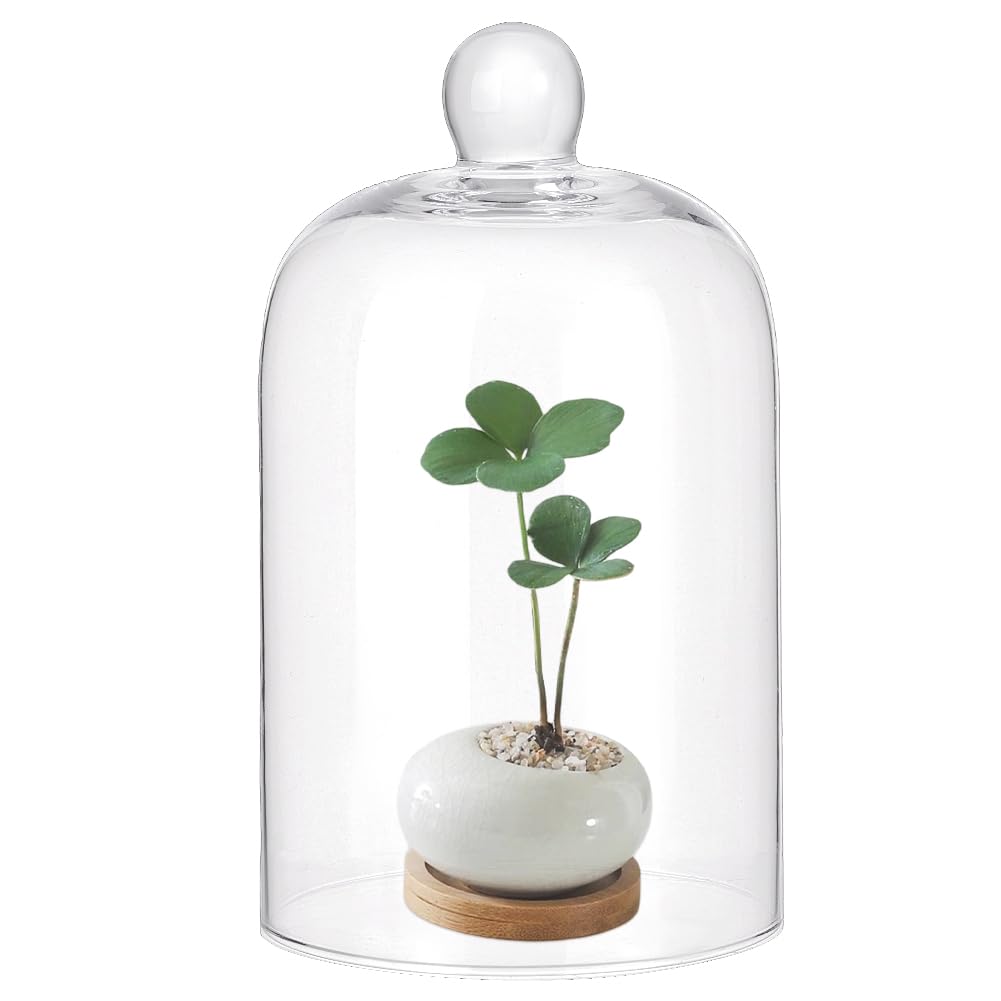 PH PandaHall 17 x 10cm Cloche en Verre Dôme Objets de Collection Cloche Décorative avec Poignée en Boule pour Plantes Guirlandes Lumineuses Décoration de Table Médaille Photo, Sans Base
