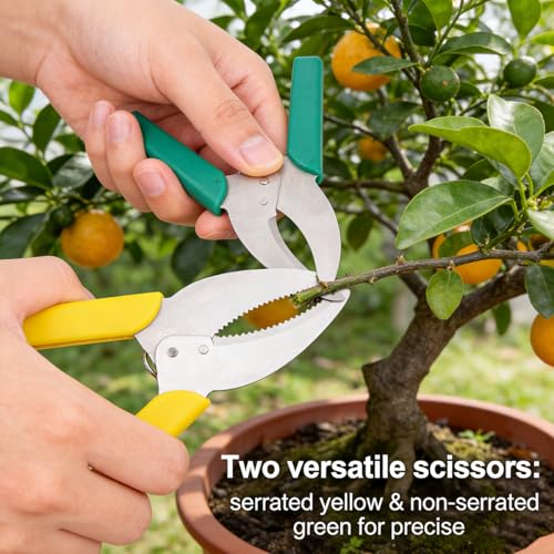 Tijeras de injerto para jardinería, set de 2 piezas miniatura 4