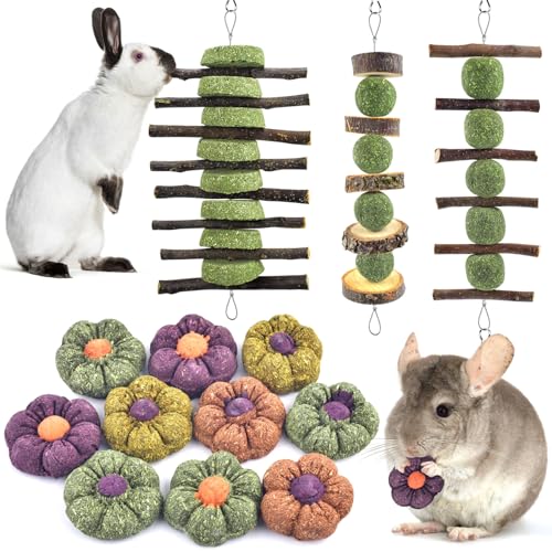 ERKOON 3PCS Bunny Chew Toys with 10PCS Timothy Grass Treats, Rabb...