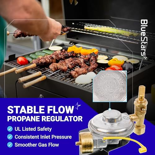 Image of [CSA Certified] BlueStars 64866 Weber Gas Grill Valve Regulator - Fit Q1000 Q1200, Control Valve Regulator Assembly Replacement for Weber 50060001 50060301 51010001 51040001 51060001 51080001 51190001
