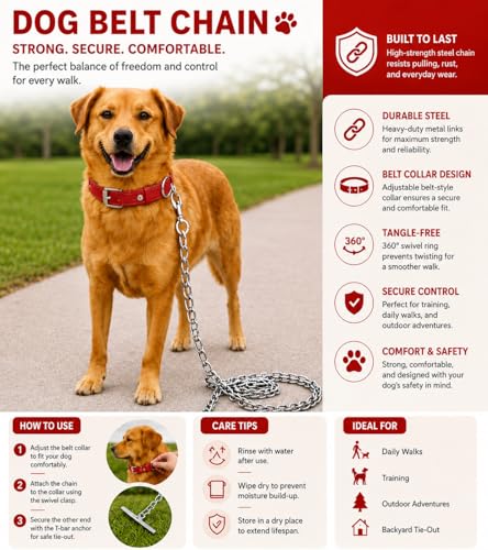 RvPaws Combo Nylon Dog Belt - 1 Inch Collar with Heavy Dog Chain 63 Inch Lengthy Dog Collar Chain Adjustable (Collar Neck Size 16-20 Inch) (Red) - Image 7