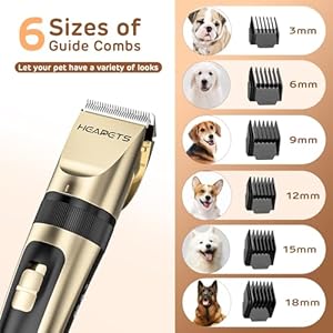   Dog-Clippers-for-Grooming-2-Pack-Pet-Hair-Trimmers-with-2-Speed-Grooming-Mode-Rechargeable-Cordless-Electric-Quiet-Suitable-for-Dogs-Cats-Gold