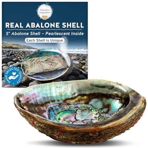 Alternative Imagination Hand Selected Abalone Shell - 5 Inches or Larger - Polished Mother-of-Pearl Interior - Flame-Proof Dish for Incense Smudge Sticks Trinkets Crystal Display & Home Decor