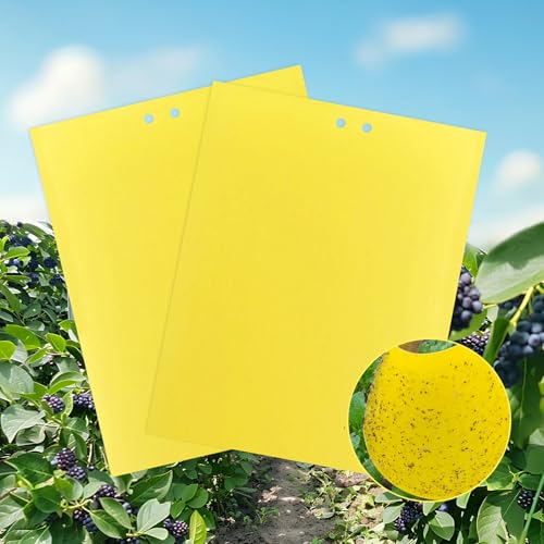 JurciCat 40 Amarillo Pegajoso Trampas De Insectos 20cmx15cm Amarillo Pegatinas Hongo Mosquitos para contra Hongos Mosquitos Pulgones Nematodos Premium Amarillo Pegatinas Mosca Trampa