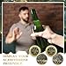 Blueweenly 14 Pcs Aa Sobriety Coins Bulk Gifts, Sobriety Chip 24 Hour Newcomer 1-11 Month Aa Recovery Coin Tokens for Alcoholics Anonymous Sober Anniversary Gift for Men and Women Christmas(Tree)