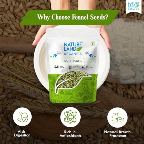 Image of Natureland Organics Fennel (Saunf) 100 gm - Organic Saunf (Pack of 3)