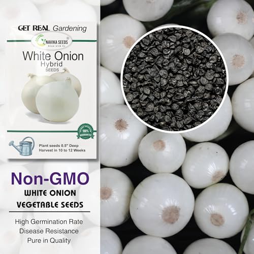 Image of Navika Seeds Red Onion & White Onion Seeds Combo (2 x 5g) for Home Gardening & Farming | High Germination | Organic Vegetable Seeds | Free Growing Guide Included