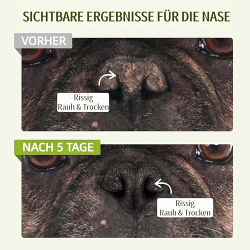 1 oz Pflanzlicher Nasenbalsam für Hunde - Natürliche Linderung und Feuchtigkeit für trockene, rissige Nasen