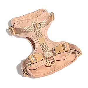 Wild One Dog Harness, The Original No-Pull, Pet Harness with 3 Leash Clips, Adjustable Soft Padded Dog Vest, Comfortable, Stretchy, Size XS, Tan