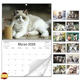 AEYAKA Calendario de Pared de Gatos 2026 – Planificador Mensual con Fotos de Gatos, Calendario Colgante Formato A3, Organizador Familiar y de Oficina, Regalo para los Amantes de los Gatos Español
