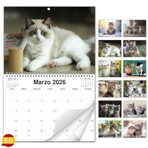 AEYAKA Calendario de Pared de Gatos 2026 – Planificador Mensual con Fotos de Gatos, Calendario Colgante Formato A3, Organizador Familiar y de Oficina, Regalo para los Amantes de los Gatos Español
