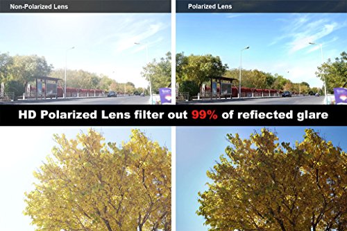 Eyekepper Bifocal Sunglasses Polarized Reading Sunglasses Women Readers4