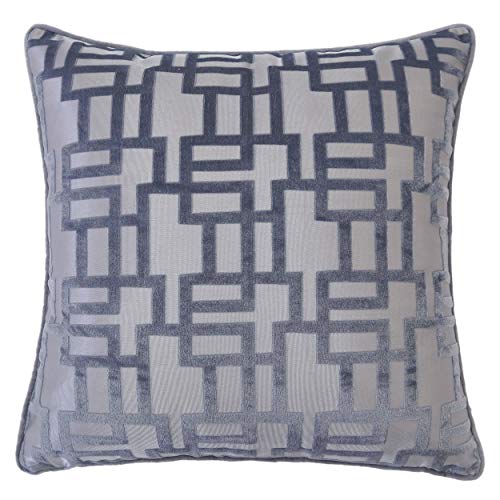 Homey COZY Modern Velvet Throw Pillow Cover,Gray Luxury Soft Fuzzy Cozy Warm Slik Decorative Square Couch Cushion Pillow Case 20 x 20 Inch, Cover Only
