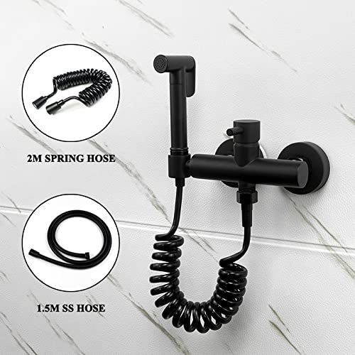 Bidet de douche en laiton pour toilettes chaudes au design élégant