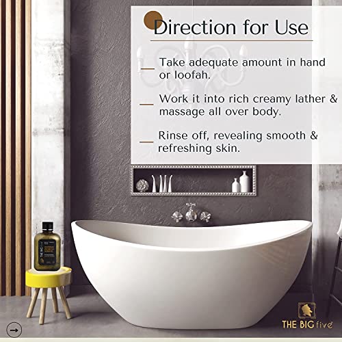 The Big Fivve Jeju N Basalt Volcanic Ash Shower Gel | Cleansing And Detoxifying | Exfoliating | For Acne Free Skin | Product By Doctor #TOP6