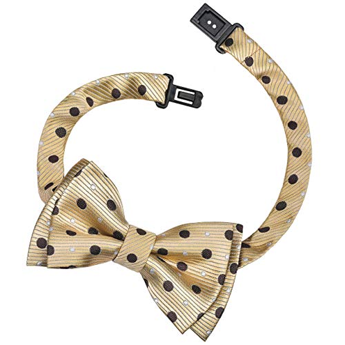 Retreez Chic Preppy Polka Dots Woven Microfiber Pre-tied Boy's Bow Tie2