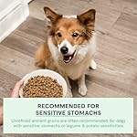 Open Farm Dry Dog Food image 4