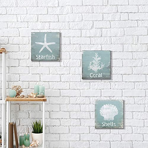 SD SOFT DANCE Beach Wall Art Coastal Seashell Canvas Paintings Starfish Coral Pictures for Bedroom Ocean Animal Artwork Teal Prints Home Decor for Bathroom 12" x 12" x 3 panel - Image 4