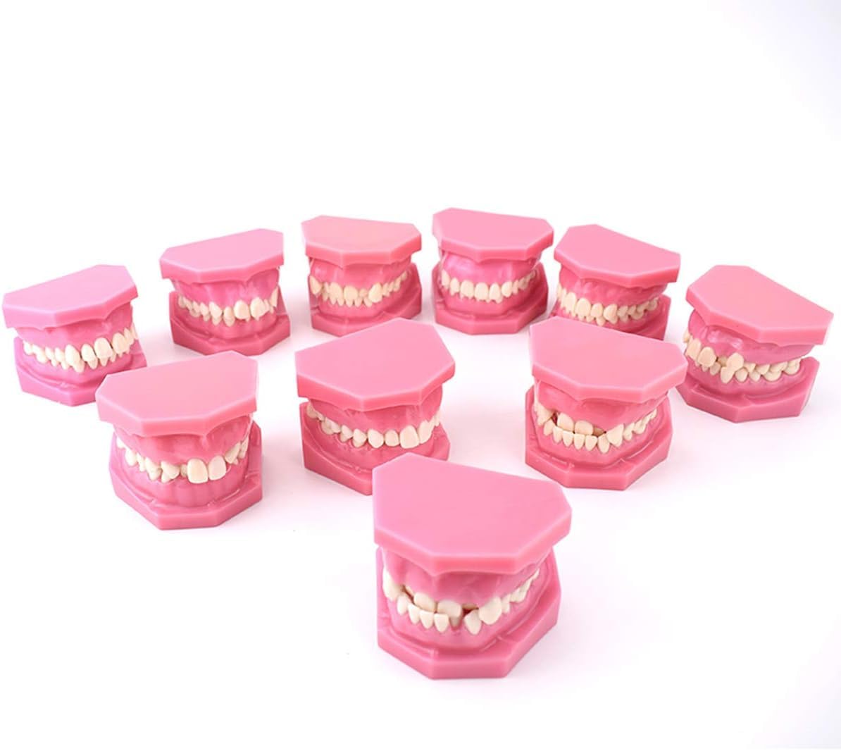 Modelo de enseñanza de estudio de dientes adultos, modelo de demostración de clasificación de maloclusión, corrección de ortodoncia, modelo de anatomía de enseñanza dental, modelo de dientes dentales