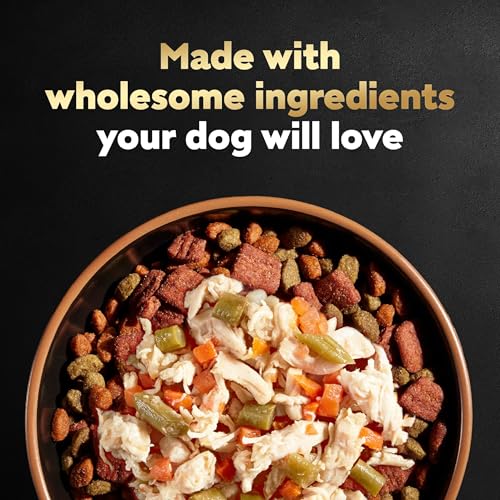 Image of Cesar Wholesome Meals Wet Dog Food Pouch, Beef & Chicken, 17.6 oz, 6 Count | Carrots, Barley & Green Beans, beef #1 ingredient, fresh vegetables, no by-products, slow-cooked, resealable pouch