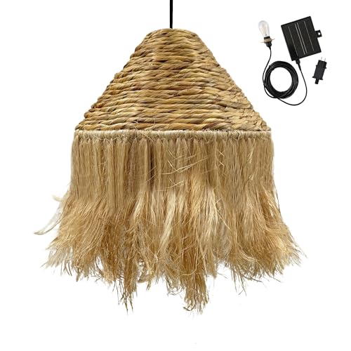 Suspension solaire LEONORA SOLAR en jacinthe d'eau avec câble hybride secteur et solaire 5m de longueur