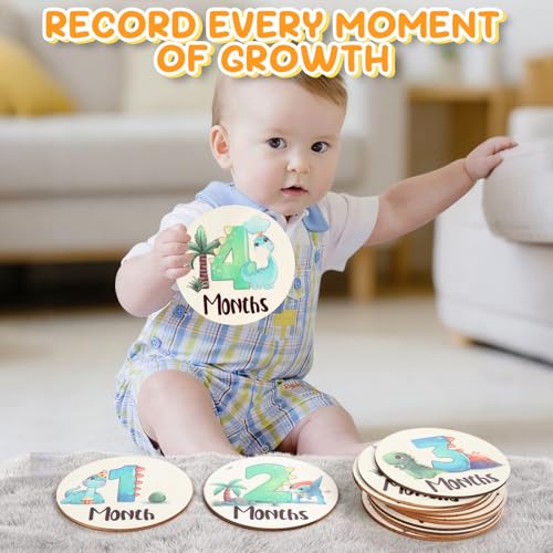Image of Baby Monthly Milestone Signs - 13 Pack Wooden Baby Milestone Cards for 1-12 Months, Newborn Photography Props with Hello World Discs, Gender Neutral Baby Announcement for Boy Girl Age Shower Gifts
