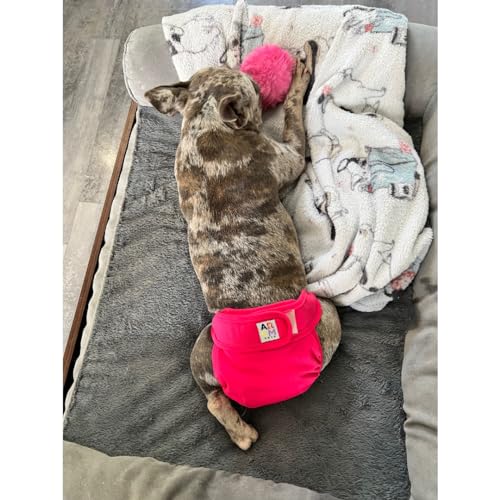Image of ARCM Pets No Tail Hole Washable Pet Diapers, Dog Diapers Female & Baby Goat Diapers-Ultra Absorbent, Premium Doggie Diapers & Adjustable Waist Diapers for Small Dogs (Pink)