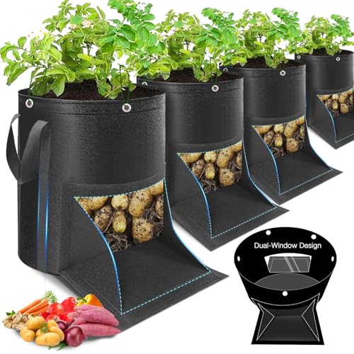 4 Pack 10 Gal LST Window Bags
