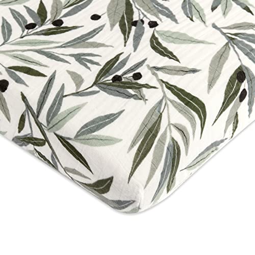 Image of Babyletto 100% Organic Cotton Mini Crib Sheet, GOTS-Certified, Fitted 360°, Ultra-Soft and Breathable Muslin - Olive Branches