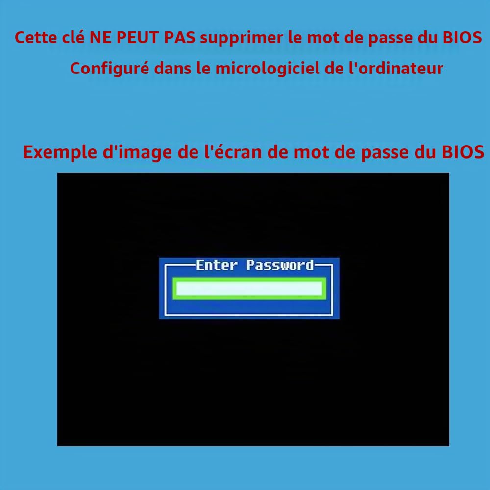 Clé USB Compatible avec réinitialisation de Mot de Passe | Compatible avec Windows XP, Vista, 7, 8.1, 10, 11, Serveur | Supprimer réinitialiser récupérer Le Mot de Passe