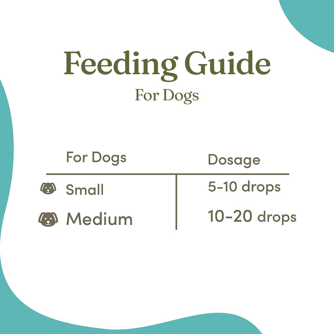 Hemp Oil for Pets | 30ml | Natural Remedy for Anxiety, Pain and Digestive Issues | for Cats and Dogs — Amazon image 4