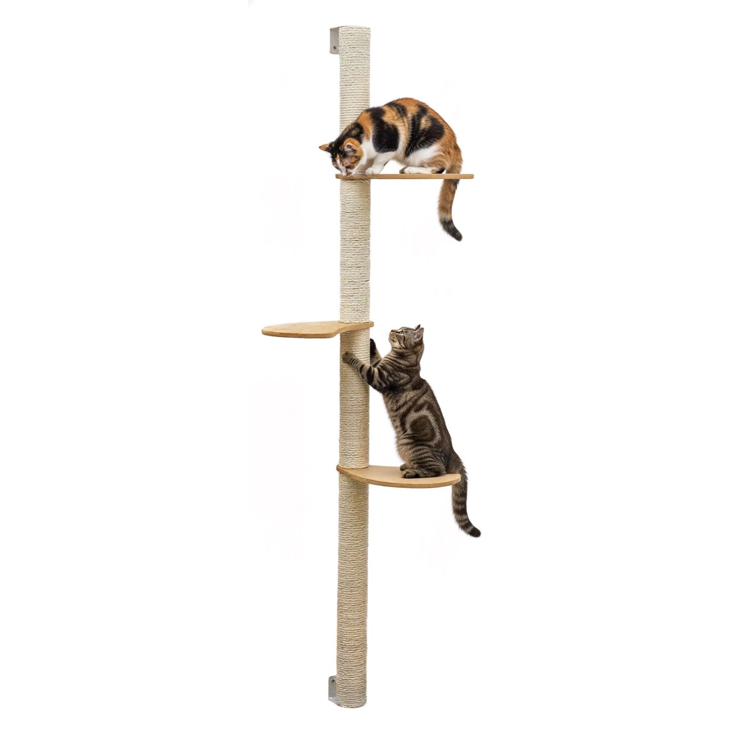 eyepower 170 cm Wandkratzbaum Luna mit 3 Plateaus zum Klettern - Kratzbaum Groß für Katzen - Kletterbaum mit Wandhalterung - Katzenbaum zur Wandmontage - Kletterwand Katze Kratzstamm Kratzsäule Wand