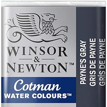Winsor & Newton 0301696 Cotman Watercolour Paint – Payne's Grey, 1.9x1.6x1.1 cm