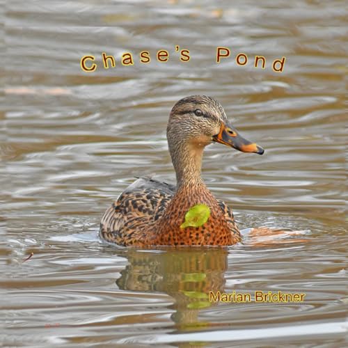 Chase's Pond une oeuvre murale d'exception aux finitions soignees