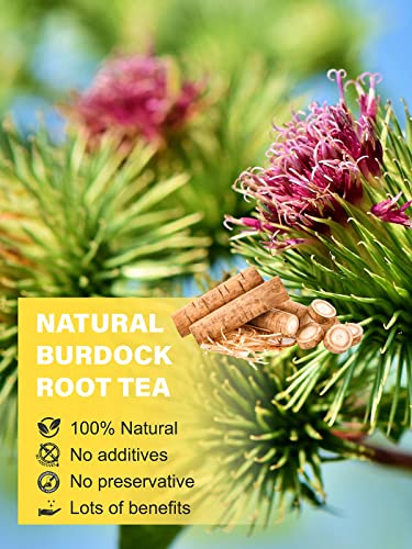 Image of TeeLux Burdock Root Tea Loose Leaf, Cut & Sifted, Caffeine Free, 16oz | Smooth & Mild Flavor, No Additives, Natural Herbal Tea for Hot or Iced