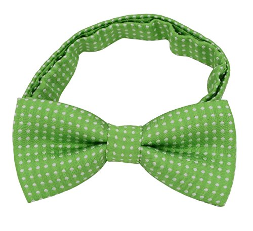 Heypet Papillon a righe variopinte, accessori di