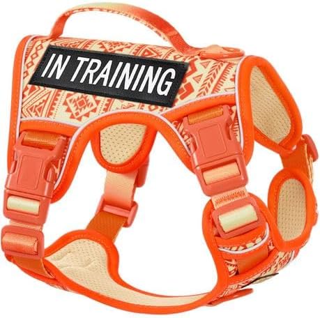 Aunzo Dog Vest Harness-Small Dog Collar & Leash (Small, orange)