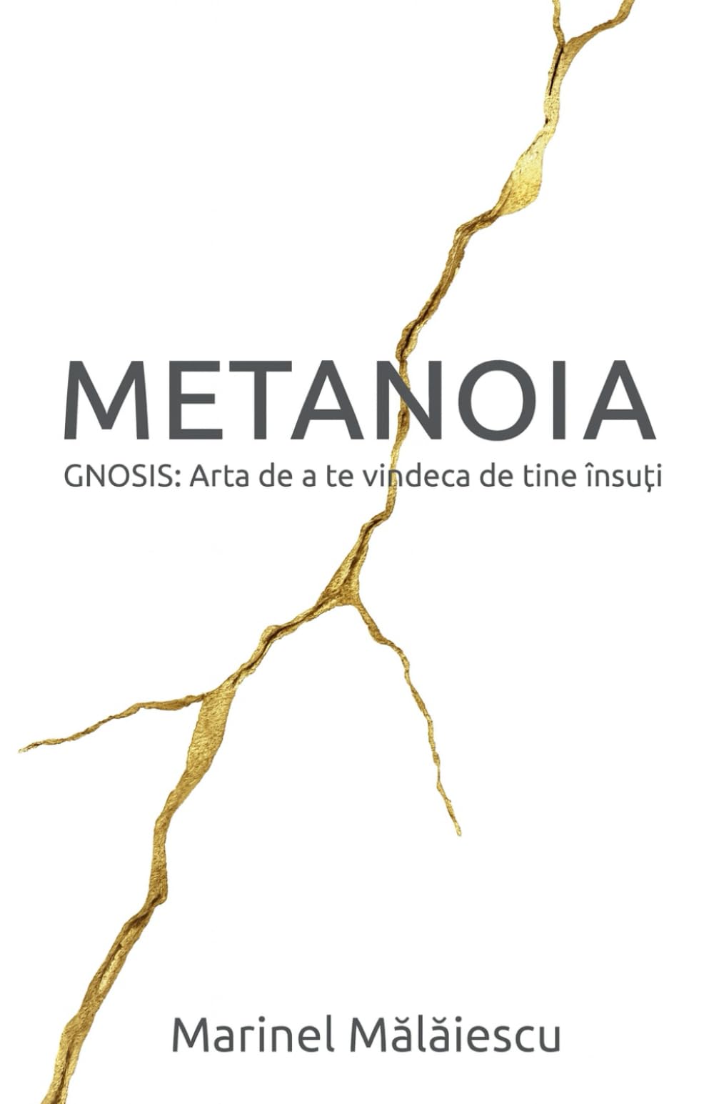 METANOIA: Arta de a te vindeca de ti-ne însuți