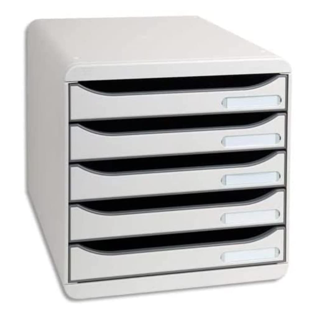 EXACOMPTA Module de classement Big Box Plus 5 tiroirs gris lumière