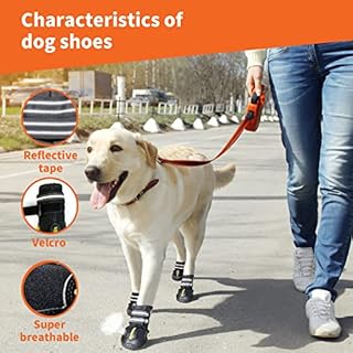 DcOaGt Dog Shoes for Large Dogs, Waterproof Anti-Slip Dog Boots & Paw Protectors for Hot Pavement Summer Winter Snow, Breathable and Reflective Dog Booties for Hiking/Walking/Outdoor/Floor